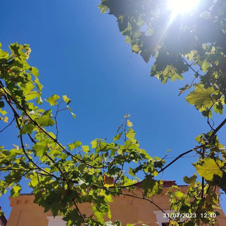 Rhodes Youth Adults Only 18-40 Hostel